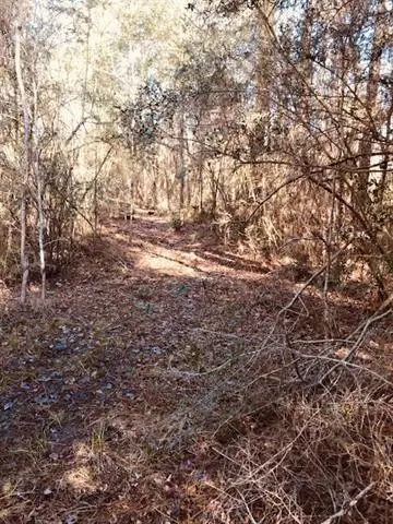 29227 Pacquet Road, Lacombe, LA 70445 - Image #3