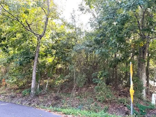 561 Colbert Street, Mandeville, LA 70448 - Image #1