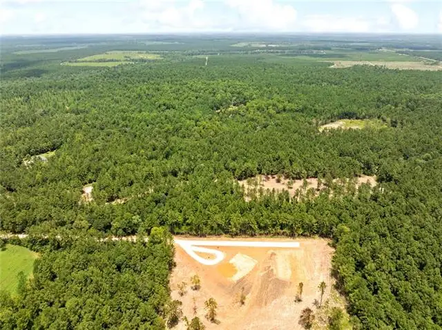 Parcel C N Factory (hwy 1080) Road, Folsom, LA 70437 - #3