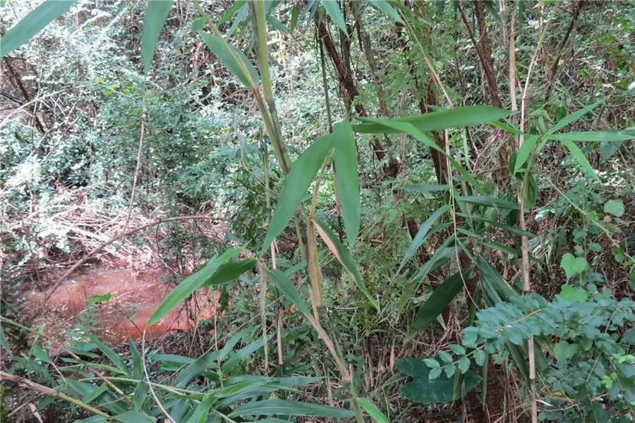 St John Street, Abita Springs, LA 70420 - Image #3