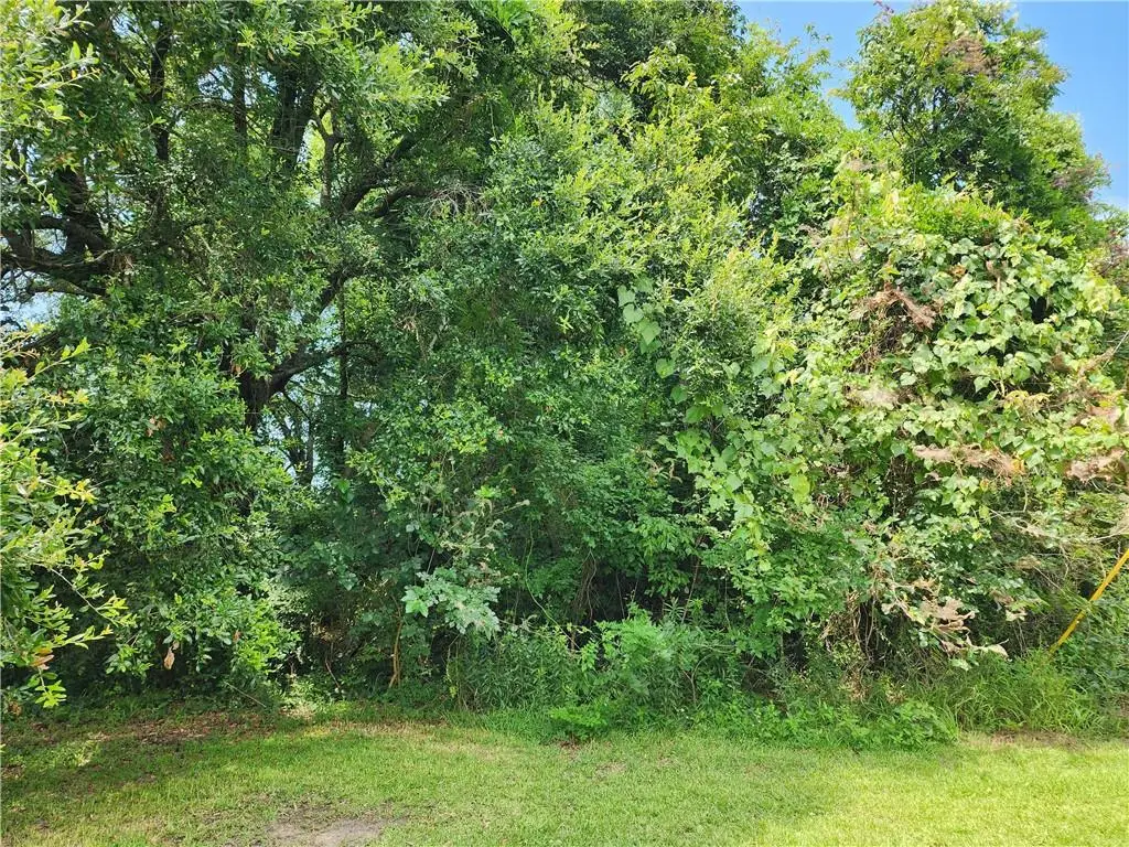 208 Concession Street, Belle Chasse, LA 70037 - Image #1