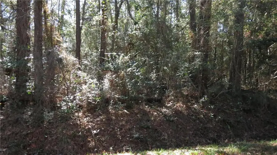 E Main Street, Lacombe, LA 70445 - Image #2