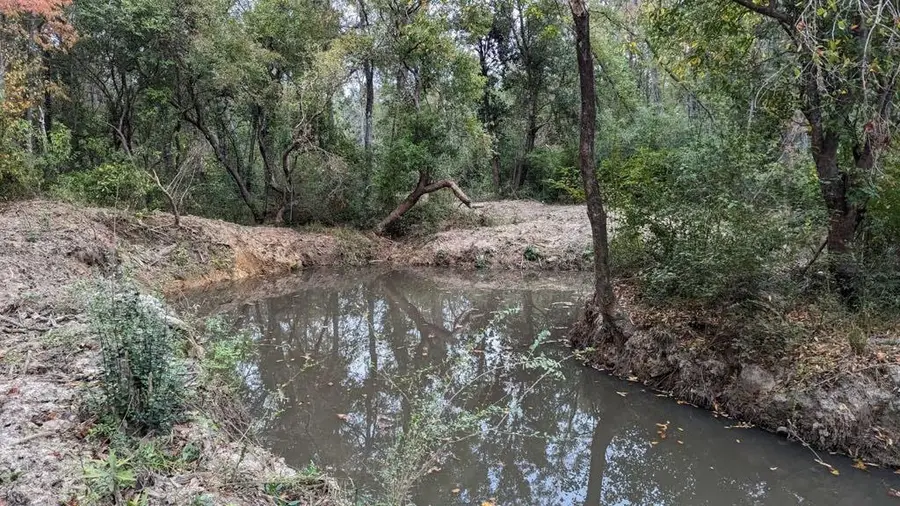 54050 Addison Road, Independence, LA 70443 - Image #3