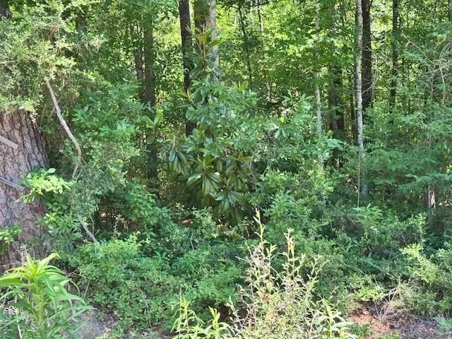 Adams Street, Bogalusa, LA 70427 - Image #1