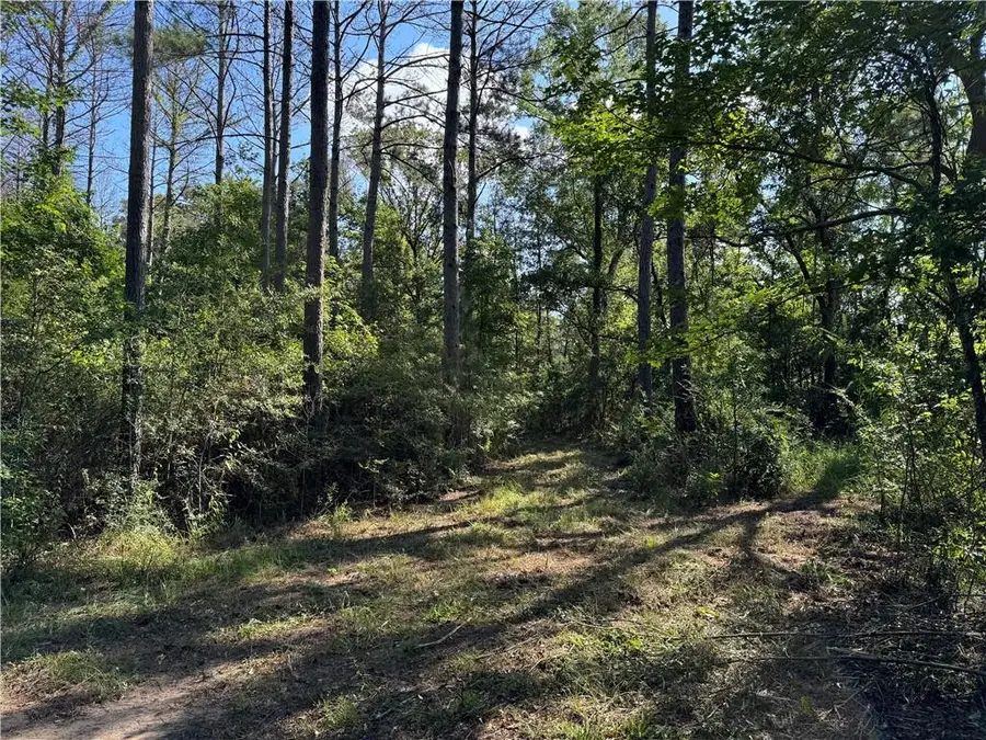 920a Auburn Drive, Bogue Chitto, MS 39629 - Image #2