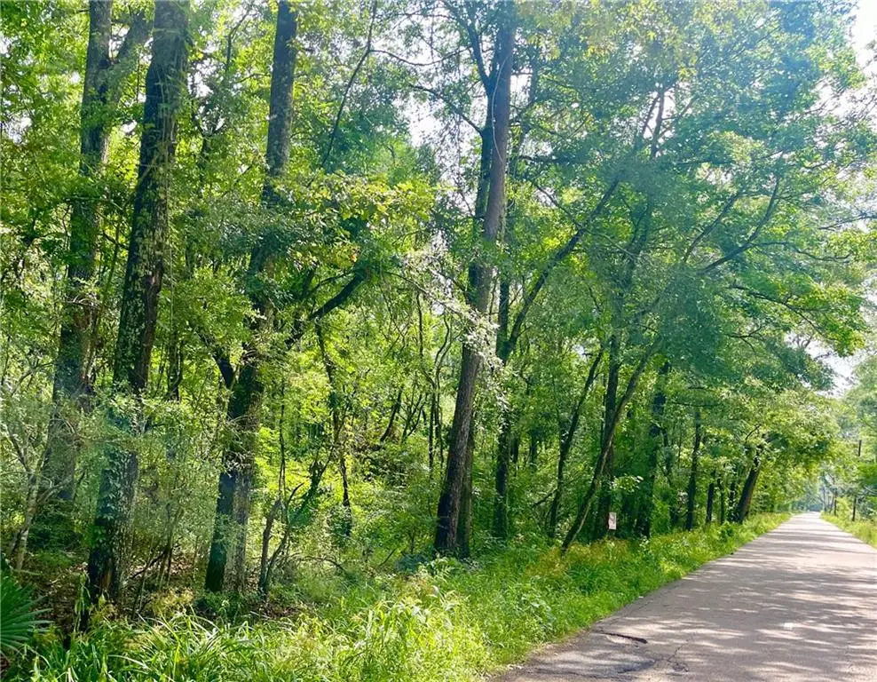 TBD 2 Lavigne Road, Ponchatoula, LA 70454 - Image #1