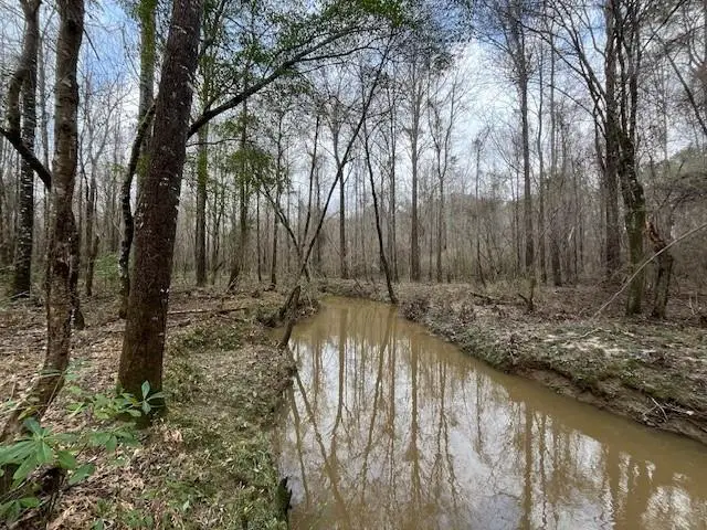 1365 Mickle Smith Trail, Bogue Chitto, MS 39629 - Image #1