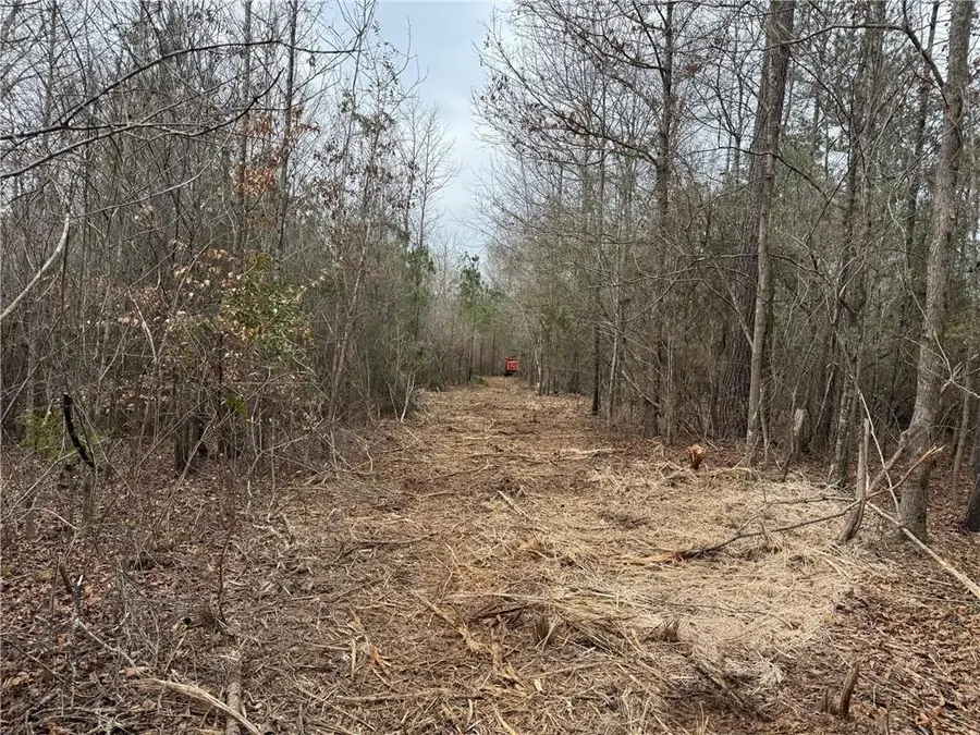 1365 Mickle Smith Trail, Bogue Chitto, MS 39629 - Image #2