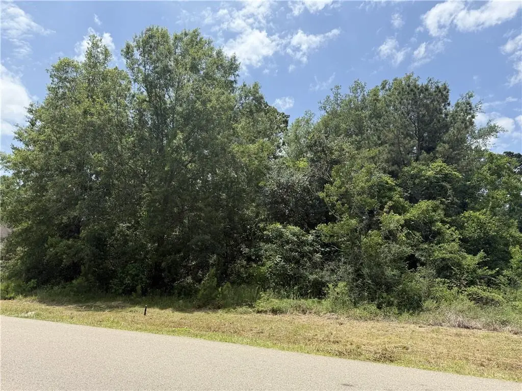 106 Lot, Ponchatoula, LA 70454 - Image #1