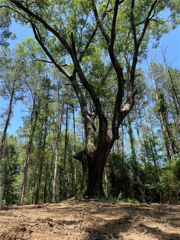 TBD La-38 Highway, Greensburg, LA 70441 - Image #1