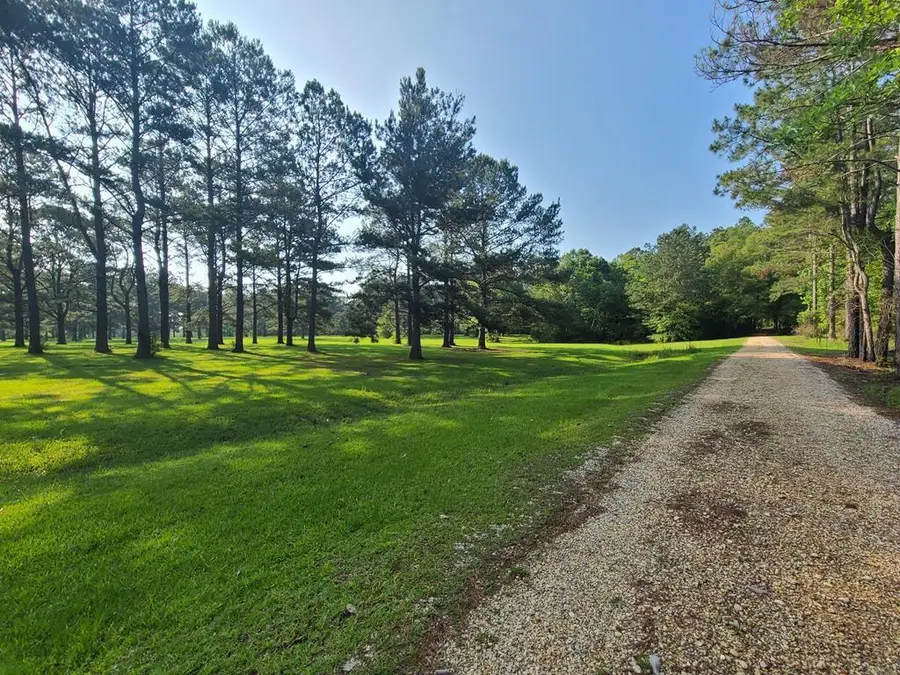 00 Thompson Lane, Carriere, MS 39466 - Image #2