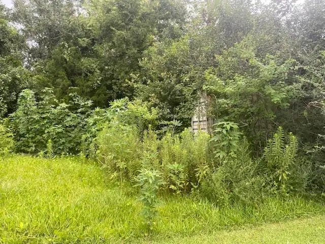 E 3rd Street, Reserve, LA 70084 - Image #3