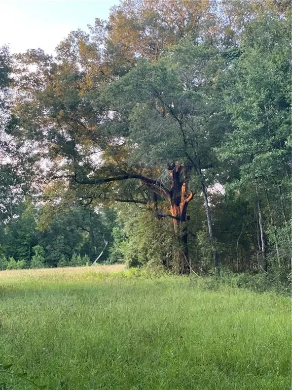 17142 Parker Lane, Hammond, LA 70403 - Image #2