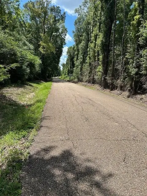 14181 E E. Russell Town Road, Roseland, LA 70456