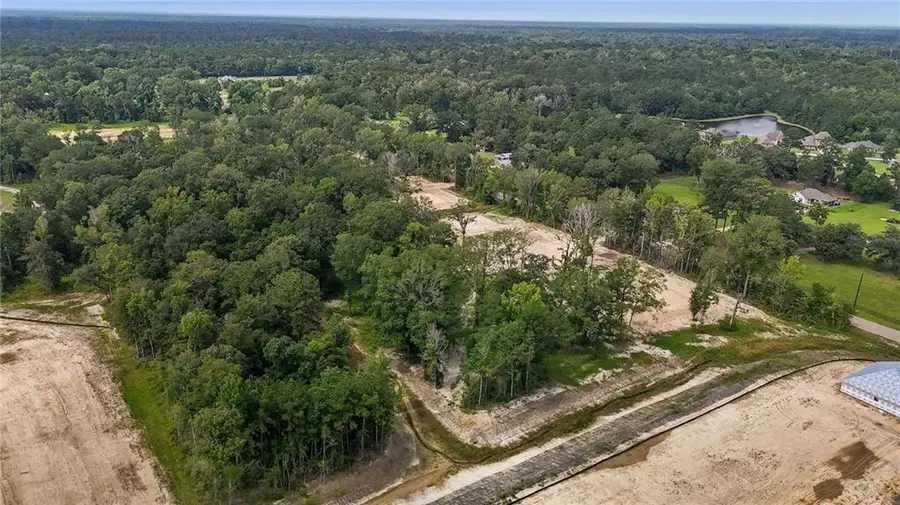 39462 Lee's Landing Road, Ponchatoula, LA 70454 - Image #3