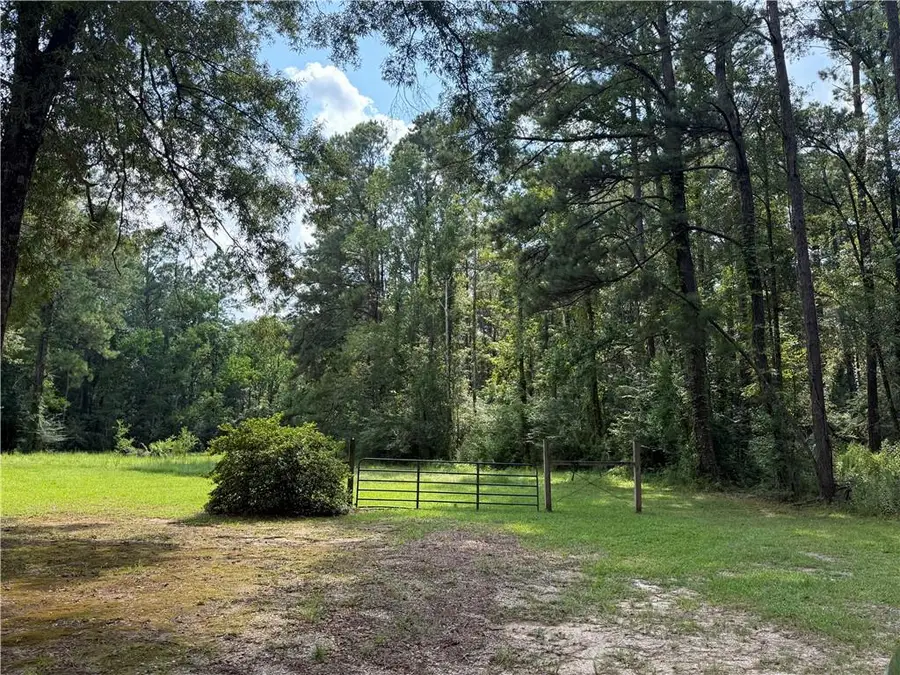 23.92 Acres, Section 40-5-7, Independence, LA 70443 - Image #3