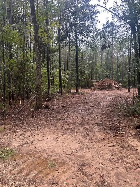 South Bennett Road, Independence, LA 70443 - #1