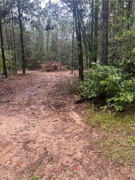 South Bennett Road, Independence, LA 70443 - #2