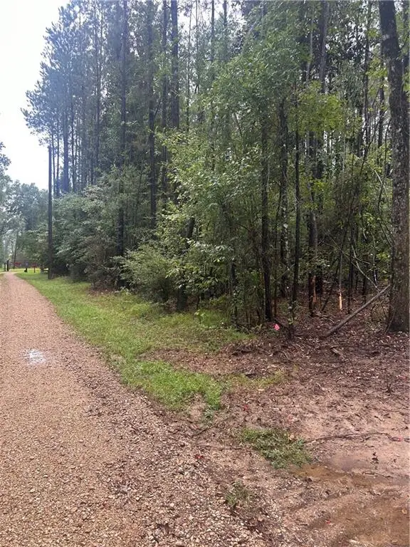South Bennett Road, Independence, LA 70443 - #3