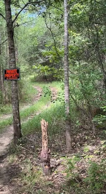 Dillon Road, Kentwood, LA 70444 - Image #2