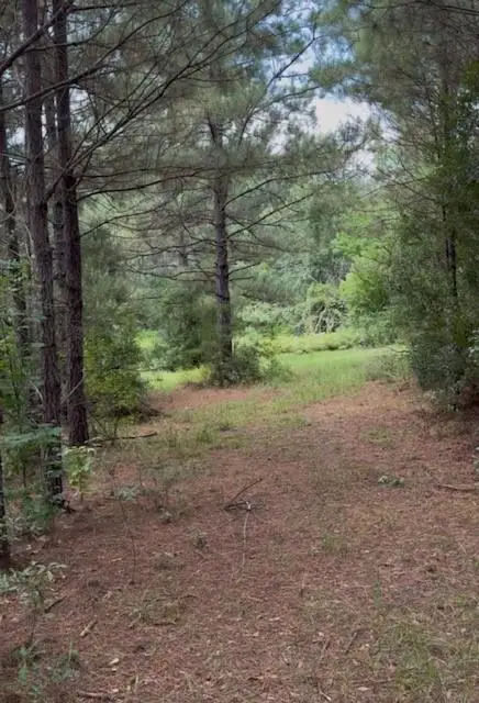 Dillon Road, Kentwood, LA 70444 - Image #3