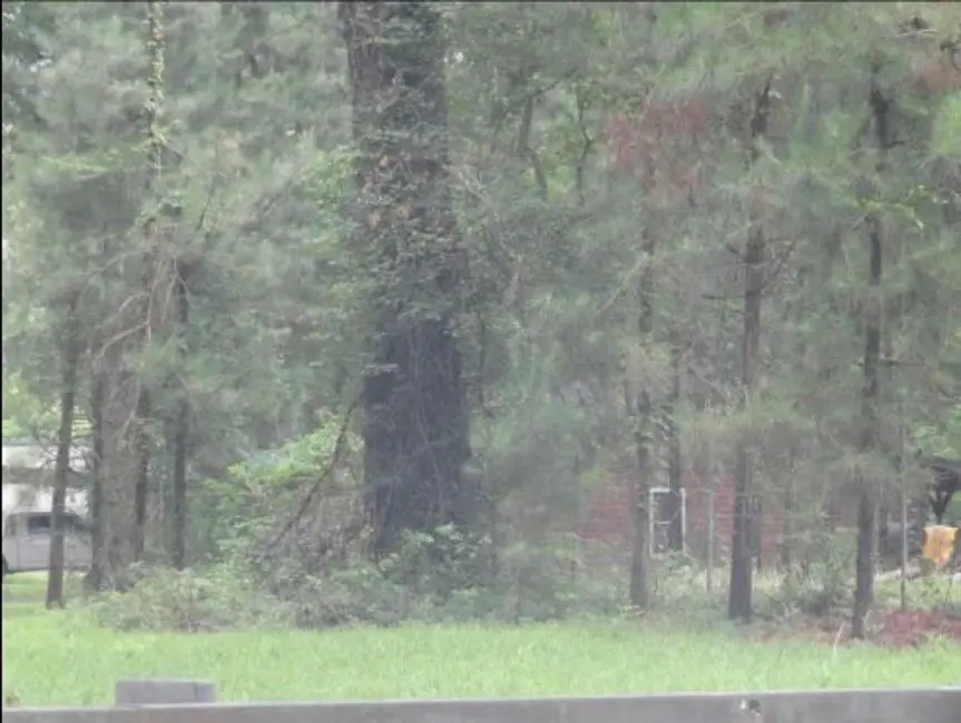 232 Mathes Road, Doyline, LA 71023 - Image #2