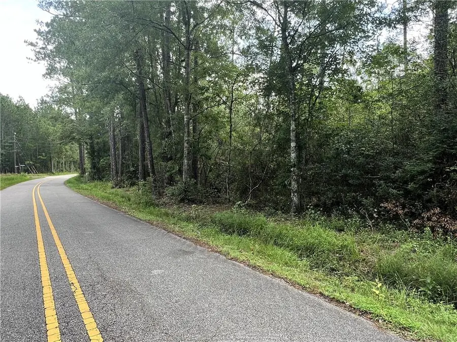 115 Acres Watts Thomas Road, Bush, LA 70431 - Image #3