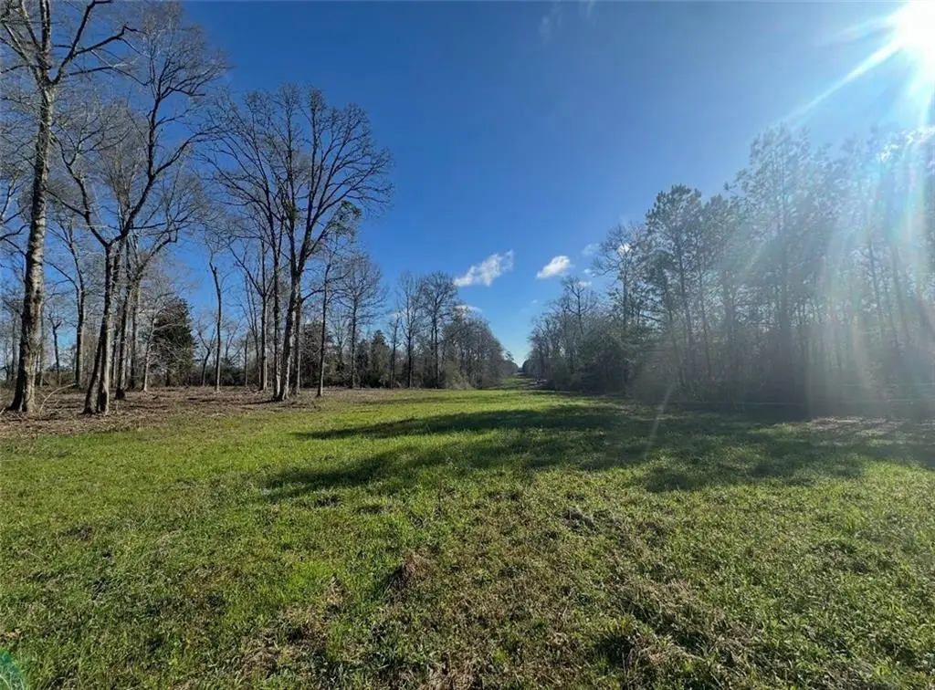 Lot 19 Hwy 16, Franklinton, LA 70438 - Image #1