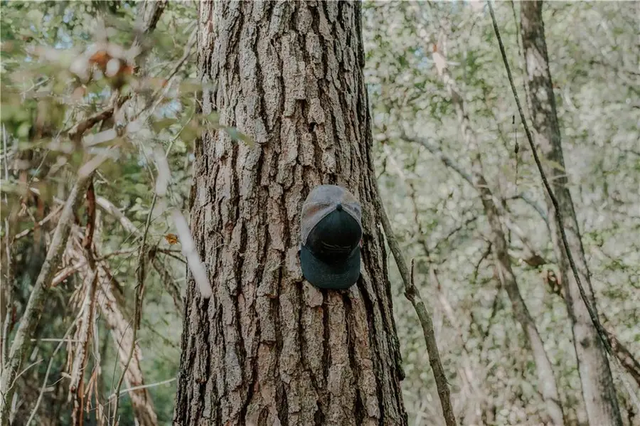 Hwy. 1083 (ben Williams Rd.) Highway, Covington, LA 70435 - Image #2