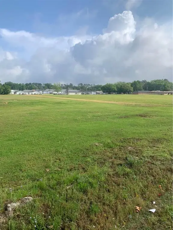 13322 Berry Bowl Road, Independence, LA 70443 - Image #1