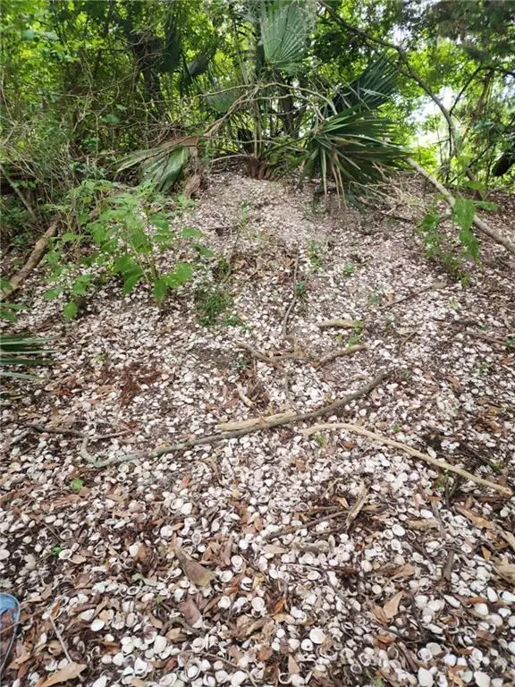 1.40 Acres Vacant Land, Ponchatoula, LA 70454 - Image #1