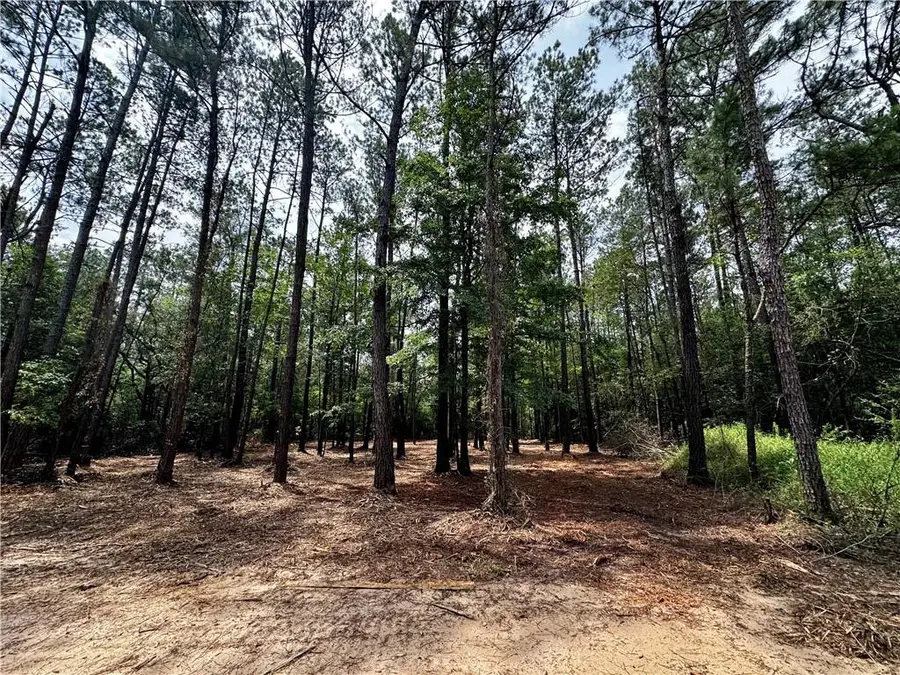 Lot 2 Ranchero Road, Covington, LA 70435 - #3