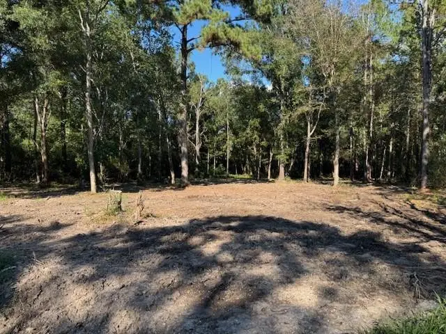 Tantella Ranch Road, Covington, LA 70435 - Image #1