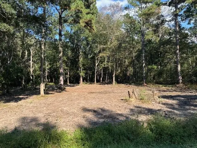 Tantella Ranch Road, Covington, LA 70435 - Image #2