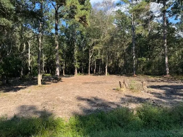 Tantella Ranch Road, Covington, LA 70435 - Image #3