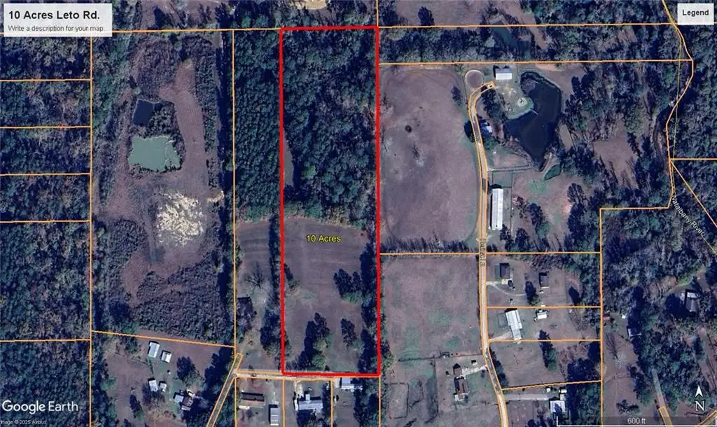 Leto Lane, Independence, LA 70443 - Image #1