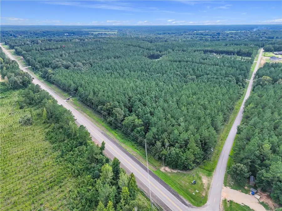 Lot 2 Bethel Woods Highway, Franklinton, LA 70438 - #3