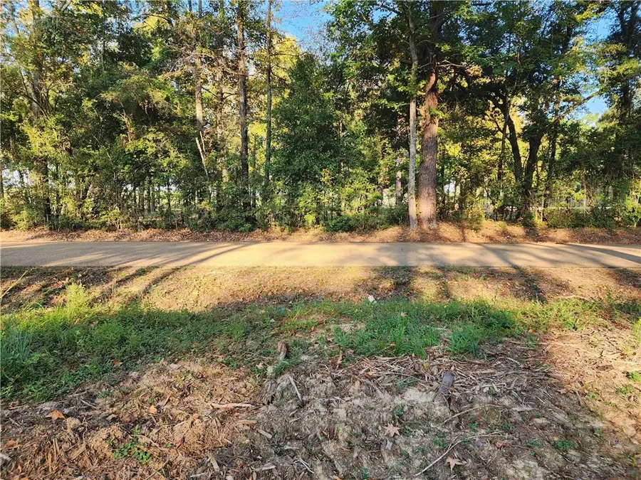 0.98 Acres Vaca 1-b Old Uneedus Road, Folsom, LA 70437 - Image #3