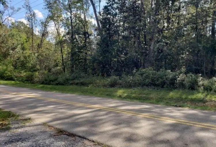 307 W 8th Avenue, Covington, LA 70433 - Image #1