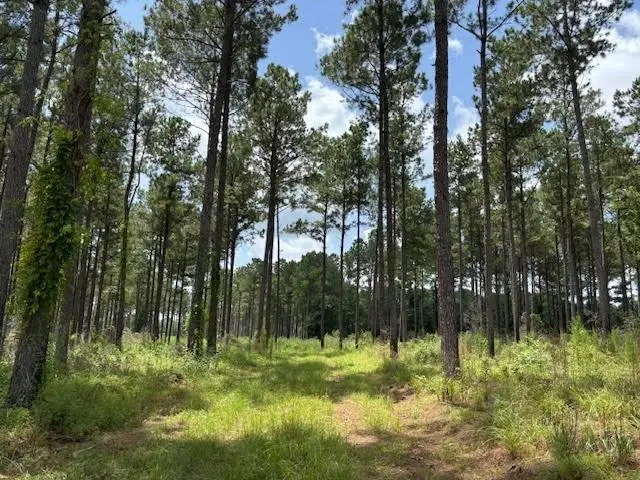 182 Hwy 44, Jayess, MS 39641 - Image #2