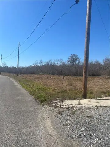 137 Tahiti Trail, Vacherie, LA 70090 - #1