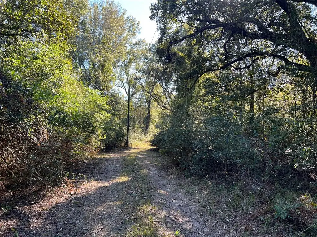 41197 Hwy 445 Highway, Ponchatoula, LA 70454 - Image #1