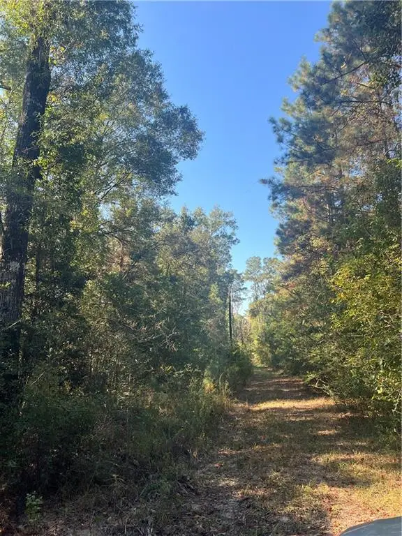 41197 Hwy 445 Highway, Ponchatoula, LA 70454 - Image #2