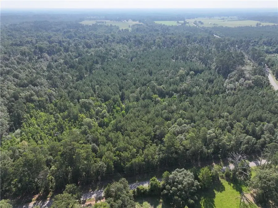 La 1045 Highway, Amite, LA 70422 - #2