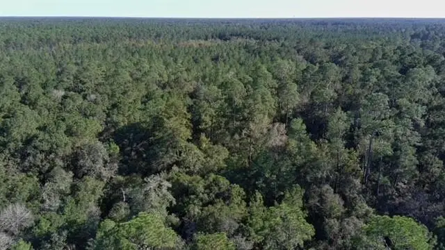 22278 Lowe Davis Road, Covington, LA 70435 - Image #3