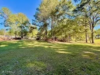 1029 Loom Street, Wesson, MS 39191 - Image #3