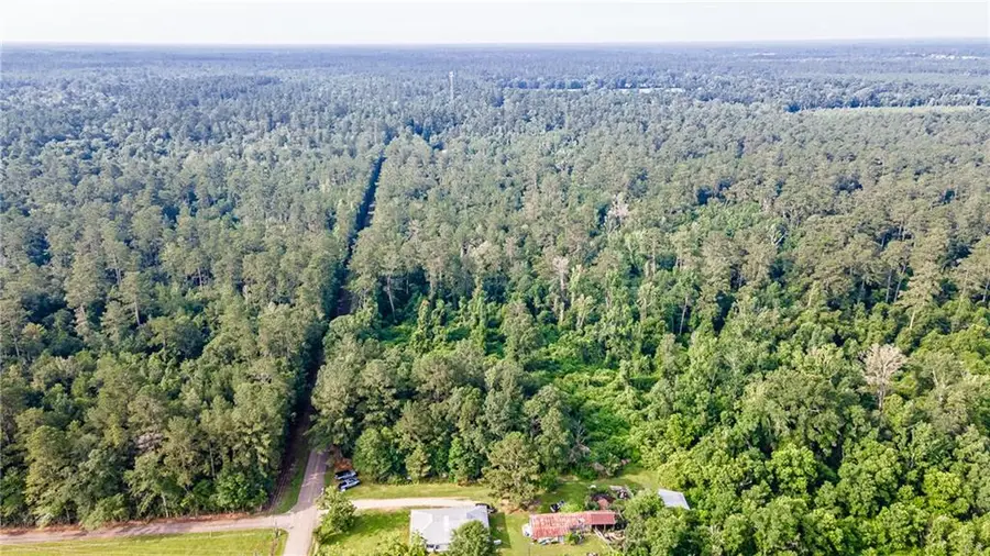 Lee Settlement Road, Folsom, LA 70437 - #2