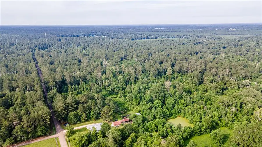 Lee Settlement Road, Folsom, LA 70437 - #3