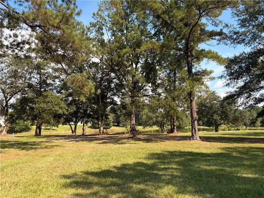 Lot 451 Chinawood Drive, Abita Springs, LA 70420 - Image #3