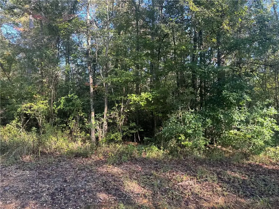 25397 Taylor Creek Road, Amite, LA 70422 - Image #2